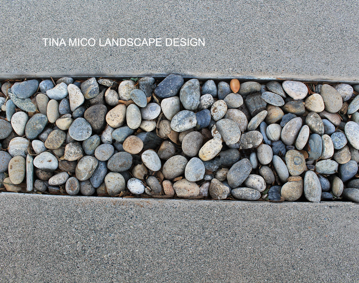 Healdsburg Landscape Design